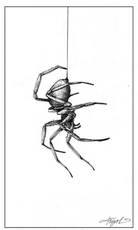 TOS_Spider_Silk_web.jpg thumbnail