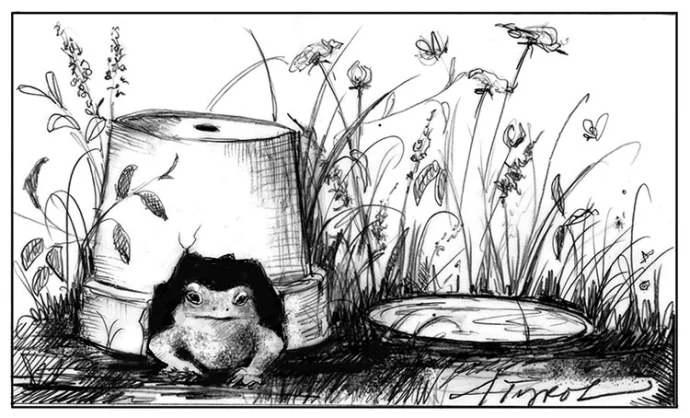 TOS_Toad_house_web.jpg