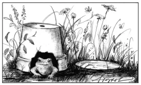 TOS_Toad_house_web.jpg thumbnail