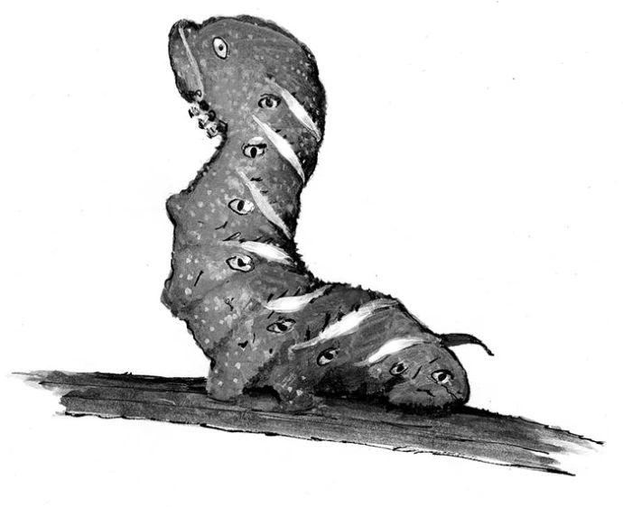 TOS_Tobacco_Hornworm_web.jpg