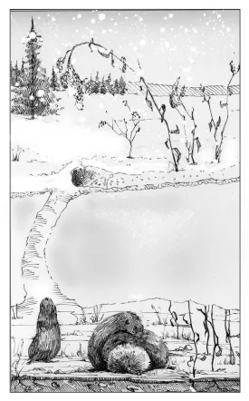 voles thumbnail