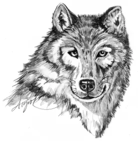 TOS_Wolf_web.jpg thumbnail