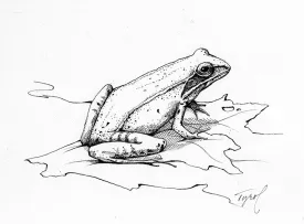TOS_Wood_Frog_web.jpg thumbnail
