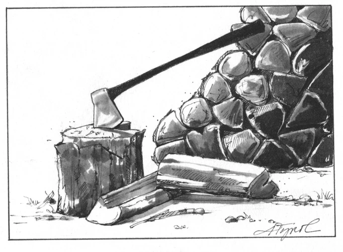 Wood Pile