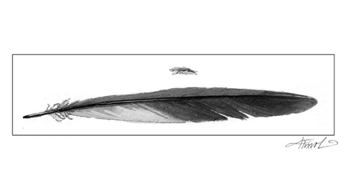 TOS_flatflies_w2.jpg