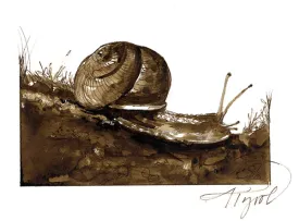 snail thumbnail