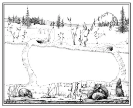 TOS_under_snow_w.jpg thumbnail