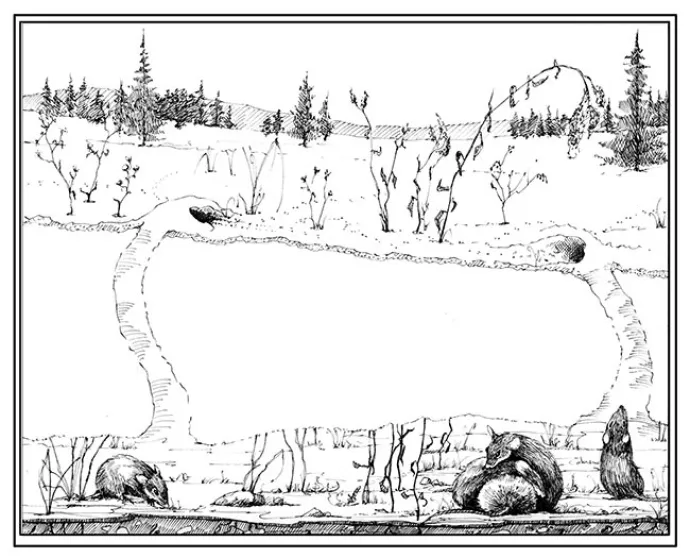 TOS_under_snow_w.jpg