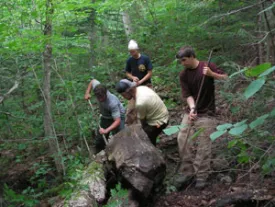 Trail Crew thumbnail