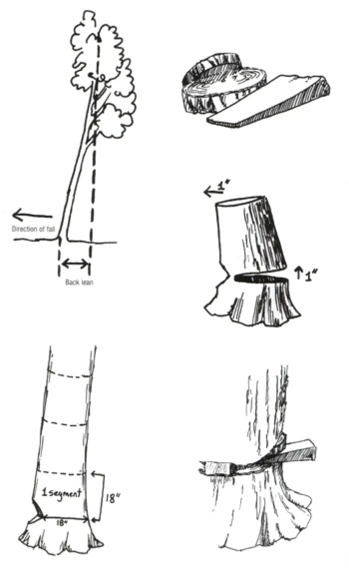 Tricks_Illustrations.jpg