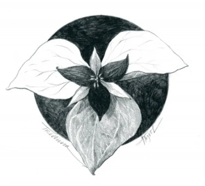 Trillium_1.jpg