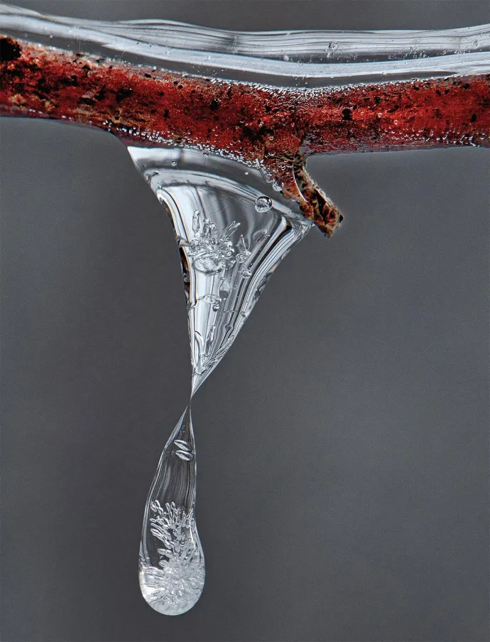 Frozen Drop