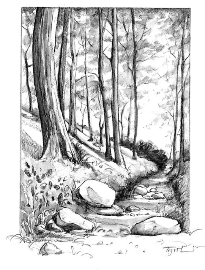 Woodland_trail.jpg