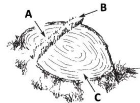 abc_bore_cutting.jpg thumbnail