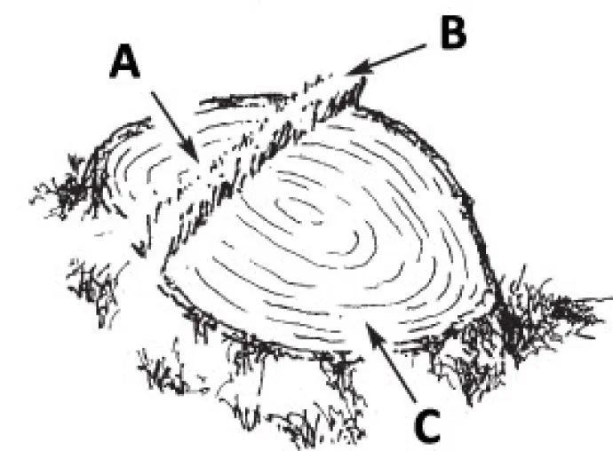 abc_bore_cutting.jpg