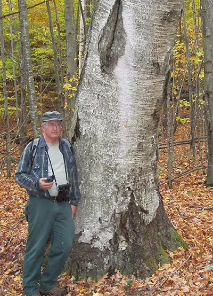 big_tree2.jpg