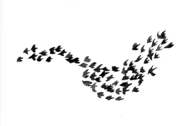 bird_flock.jpg thumbnail