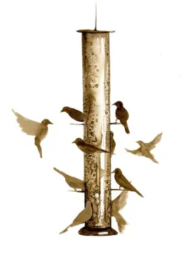 birdfeederpix.jpg thumbnail