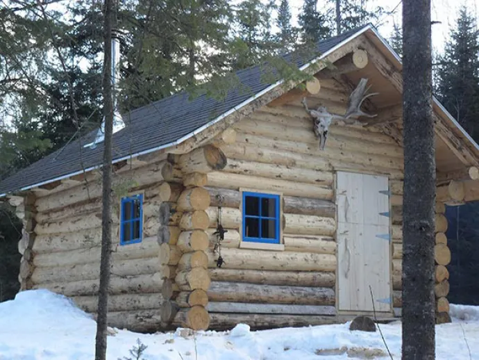 buildcabin13.jpg