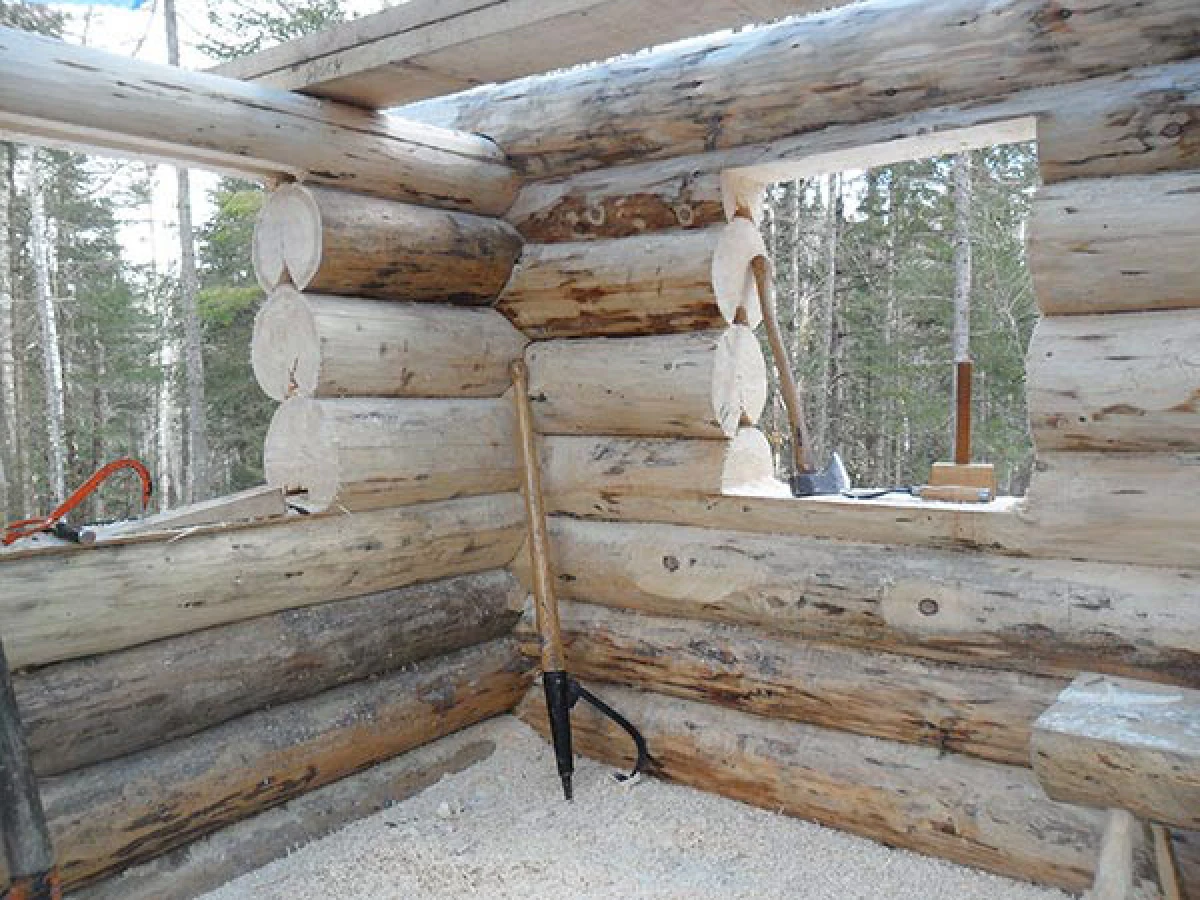 buildcabin6.jpg