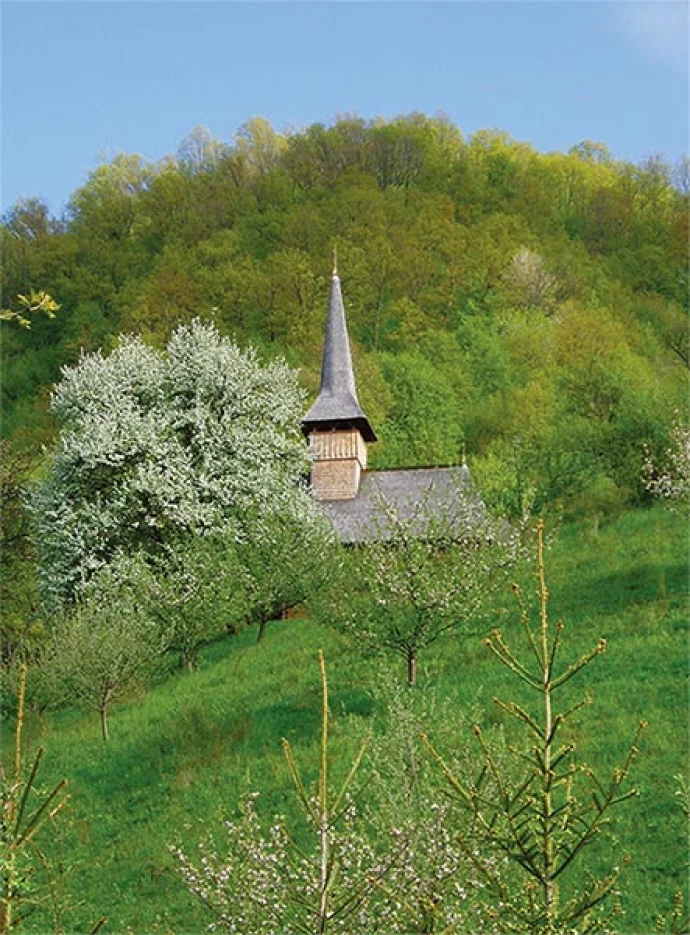 carpathians_2.jpg