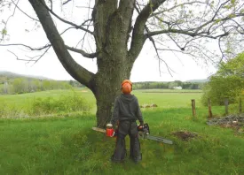 chainsaw.jpg thumbnail