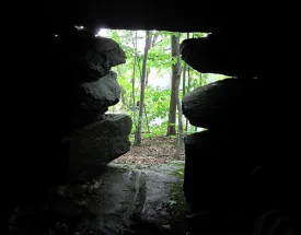 chamber1a.jpg thumbnail