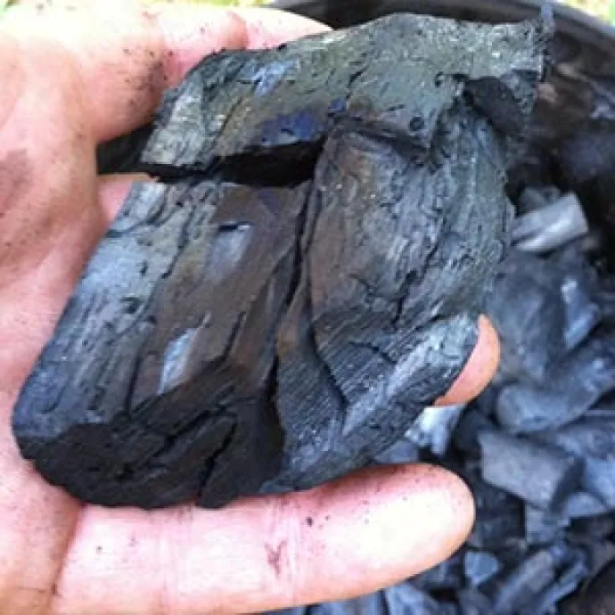 charcoal8.jpg
