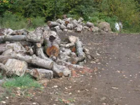 chunks_2.JPG thumbnail