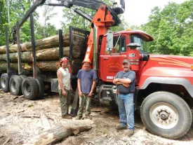 clearcut0.JPG thumbnail