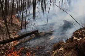 controlled_burn_lead.jpg thumbnail