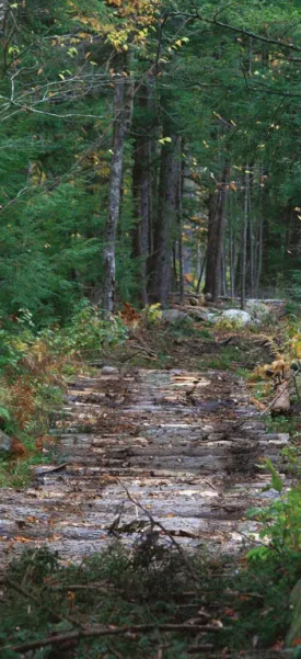 corduroy_roads.jpg thumbnail