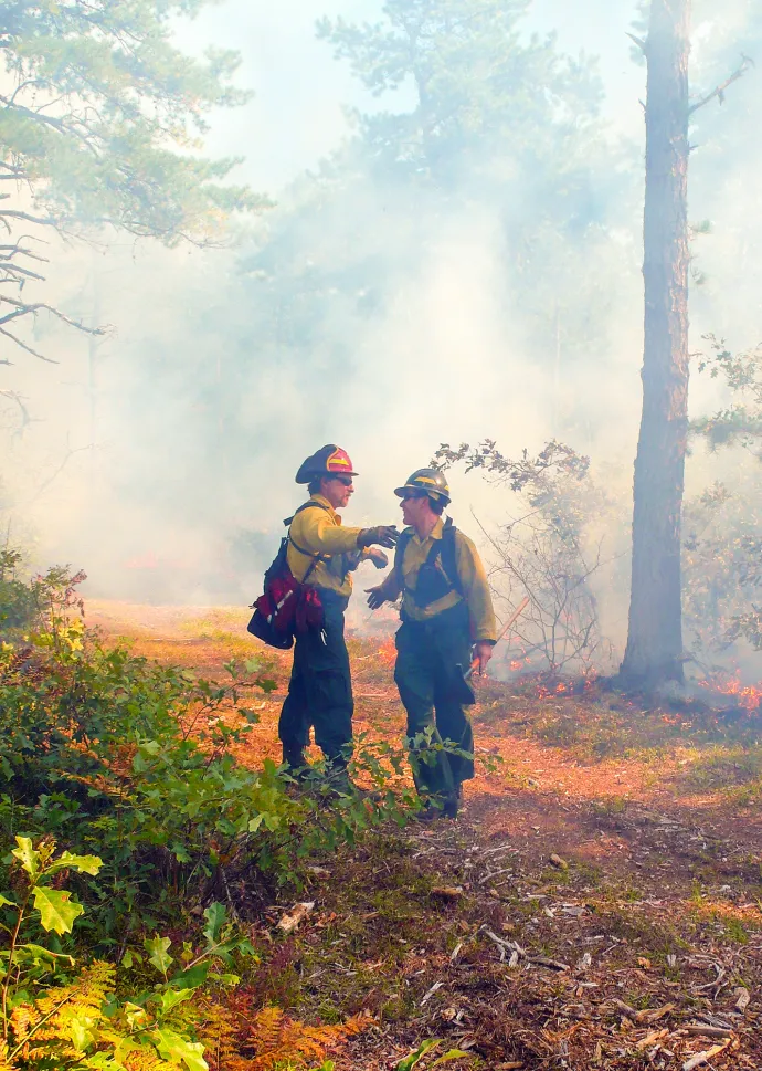 Firefighters
