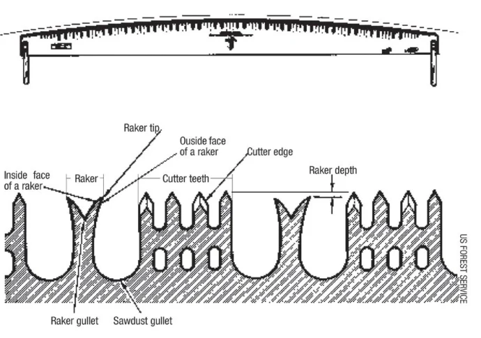 cross_cut_saw_AUT09.jpg