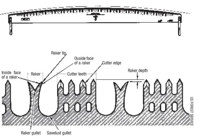 cross_cut_saw_AUT09.jpg