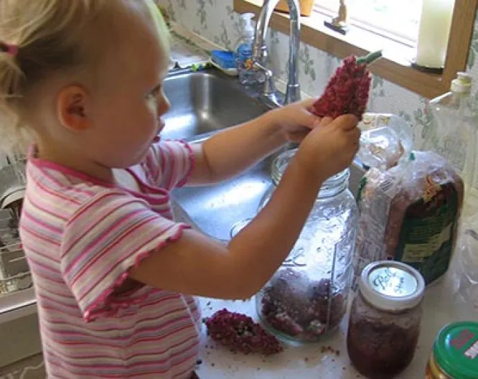 crushing-sumac-lord2.jpg