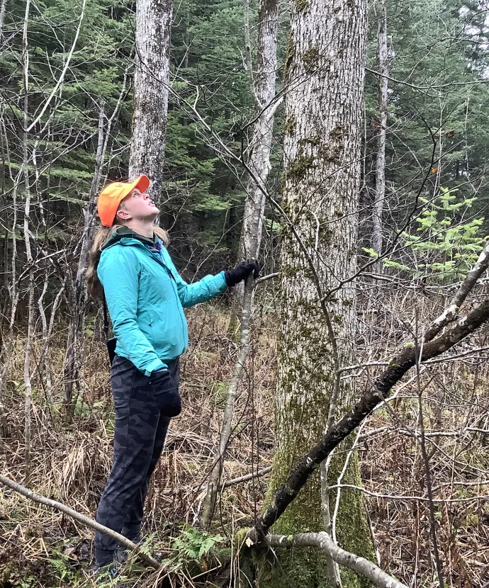 eab-forest-monitoring-visit2.jpg