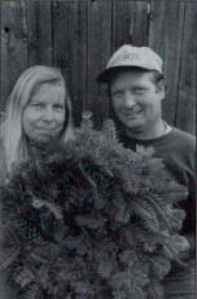 fir.jpg