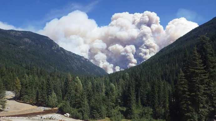 fire_western_forests1.jpg