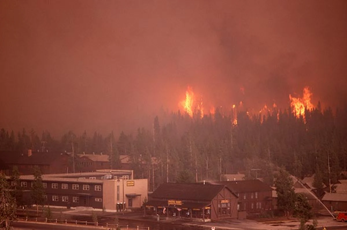 fire_western_forests2.jpg