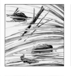 flood_fish.jpg thumbnail