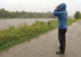 forecast_for_birds.jpg thumbnail