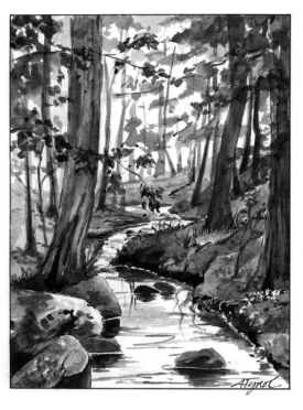 forests_and_water_1.jpg thumbnail