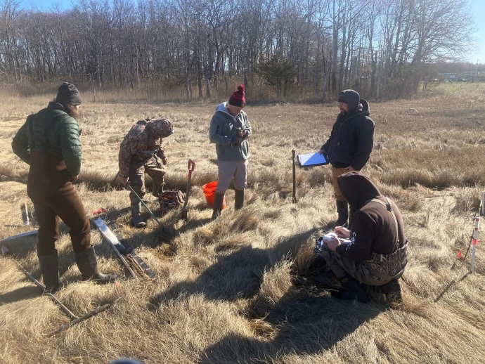 Marsh survey