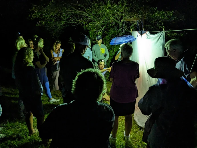 Moth night