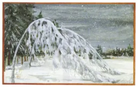 grey_birch.jpg thumbnail