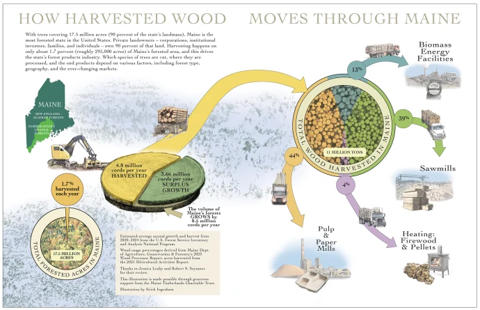 Wood flow