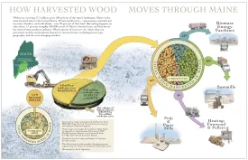 Wood flow thumbnail