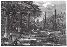 hemlock1.jpg thumbnail
