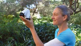 hydrophonics_discovery.jpg thumbnail